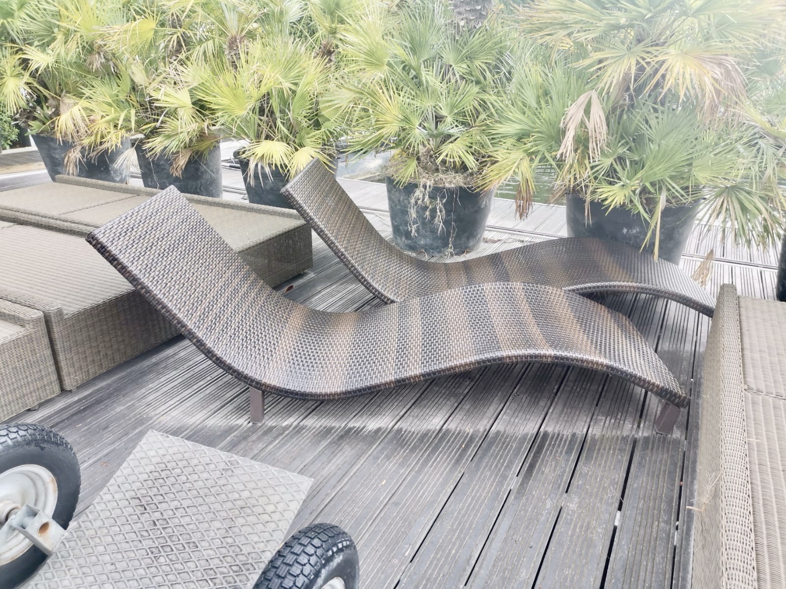 Serpent Garden Chairs Used The Used Kitchen Company